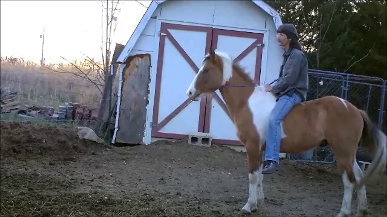 Bully pony