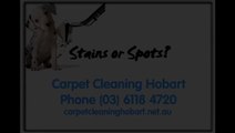 Carpet Cleaning Hobart, Looking for carpet cleaners in Hobart? Let us take care of all your ccarpet cleaning needs.