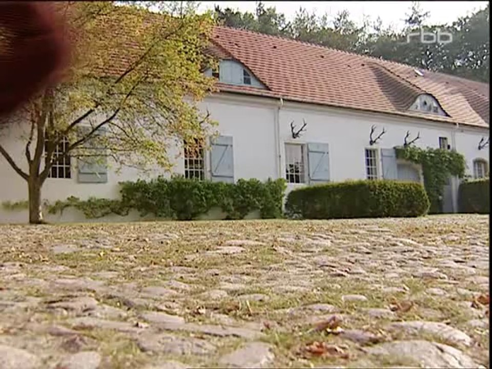 Schloss Einstein Folge 22