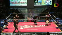2014 CMLL Reyes del Aire