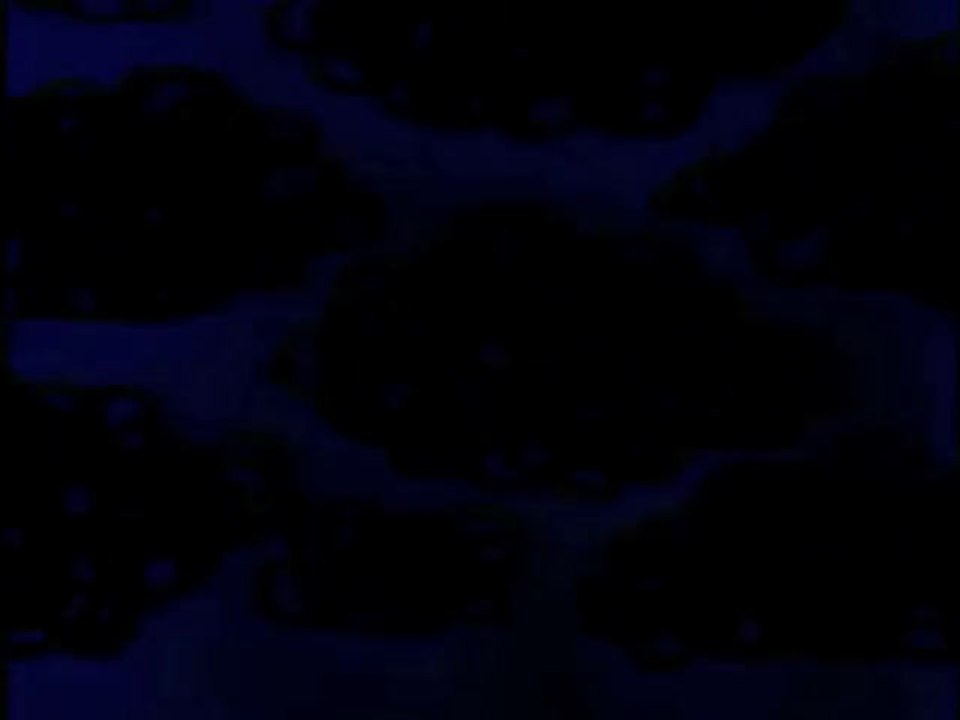 The Rocky and Bullwinkle Show - The Adventures of Bullwinkle and Rocky intermission (Fred Steiner arrangement #2)