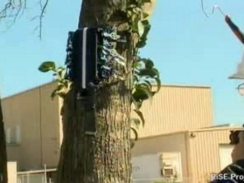 Climbing Robot - Robot Grimpeur- RiSE