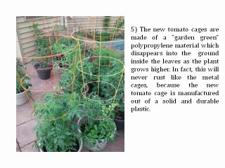Information on New Tomato Cages