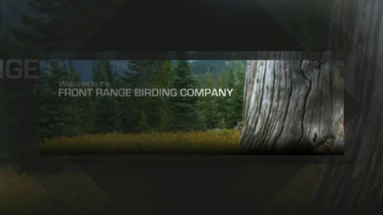 Wind chimes & Birding Binoculars Denver