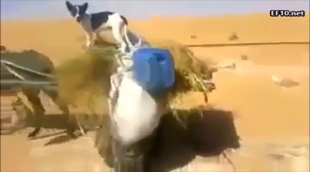 Ambulansa Bile Yol Vermeyen Mahluklar Görse De Ders Alsa Keşke..