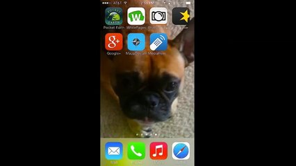 Live Local Audio Streaming App - MappStream