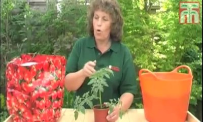 Gardening Made Easy-1