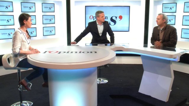 OpinionS : L'UMP en question, fédéralisme ou souverainisme ?