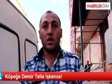 Erzurum'da Köpeğe Demir Telle İşkence