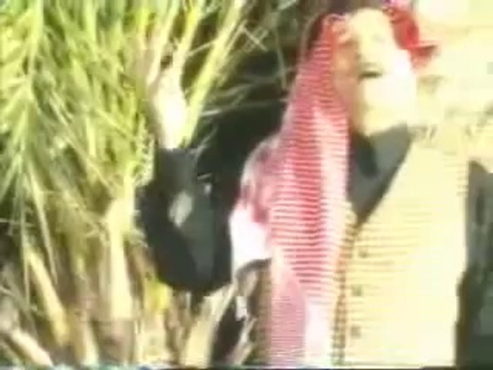 الياس خضر ------يا حمد
