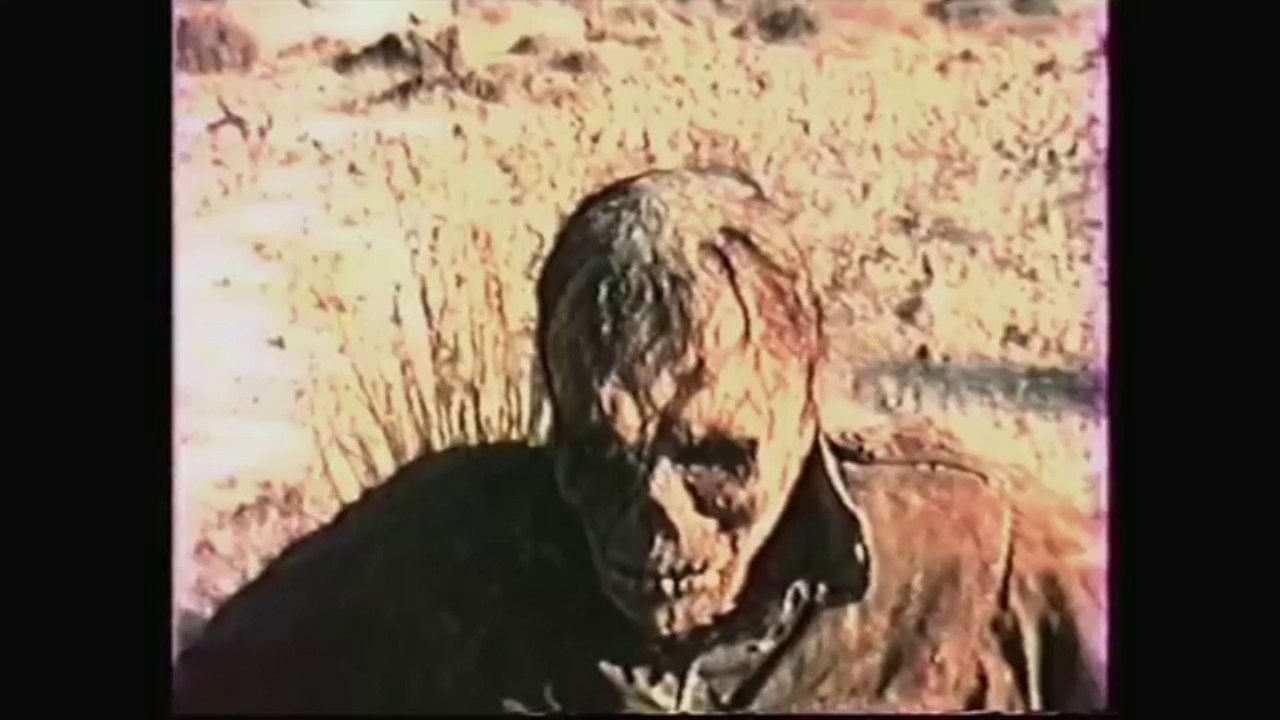 Télé Hallucinations Collectives - dimanche