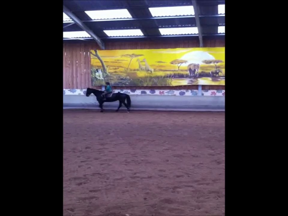 Galop 6 dressage