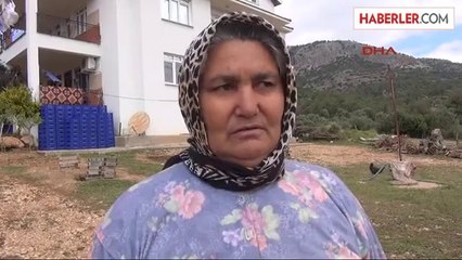 Seydikemer'de Ceviz Büyüklüğündeki Dolu Seraları Vurdu