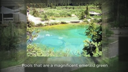 Lake Louise Accommodations Features Johnston Canyon Resort Canada