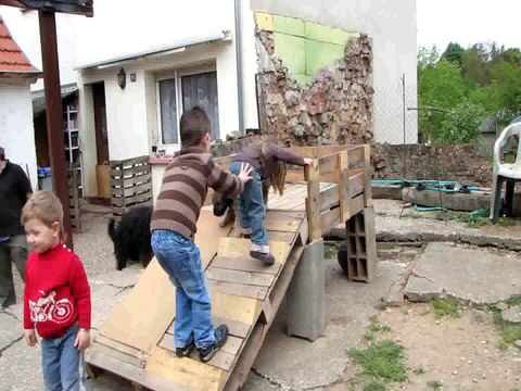Comment concilier activité pour les chiots et les petits enfants.... (Chiots berger catalans 2014)