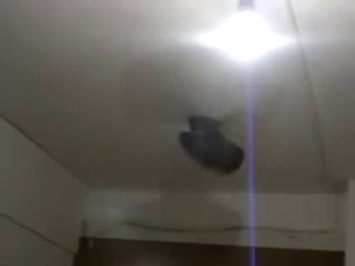 odada-bes-catida-onbes