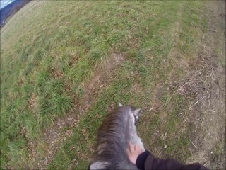 Test Go Pro : Balade avec Quérido