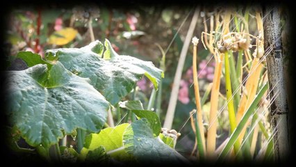 SOLUCIONES DONDE NO PARECE HABER PROBLEMAS