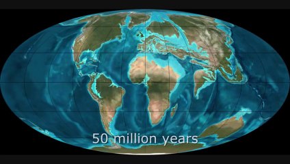 Earths history in the last 600 million years
