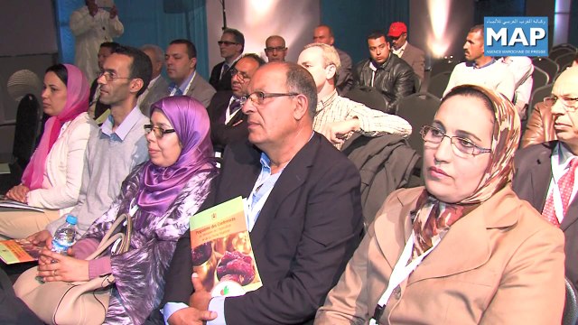 Prix de la meilleure qualité des huiles d'olives vierges extra 2014