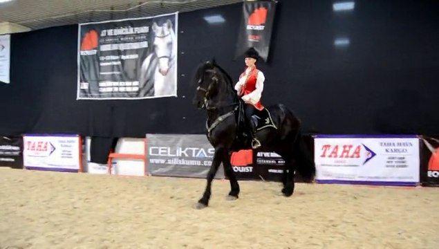 EQUIST 2014 - The Spirit of Horse / Profi Stunt Riders