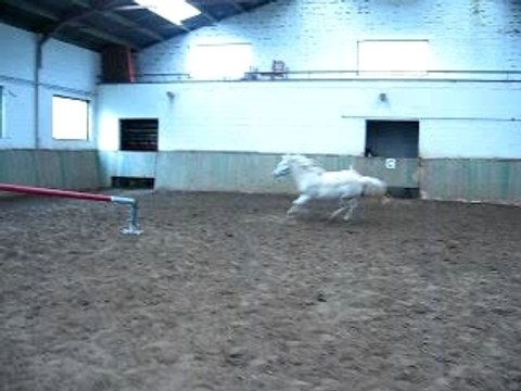 Rimelle saut en liberté 16-01-2007