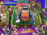 Teenage Mutant Ninja Turtles Toys: Battle Shell Action Figures - Weapons in a   Half Shell!! TMNT Toys