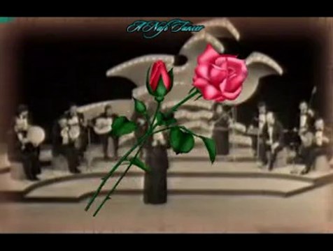 Nesrin SİPAHİ-Bahçenizde Sünbül Olsam