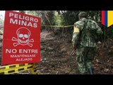 FARC mine explosions kill one Colombian soldier, injure 13