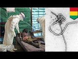 Ebola outbreak in Guinea: virus kills 60, UNICEF reports