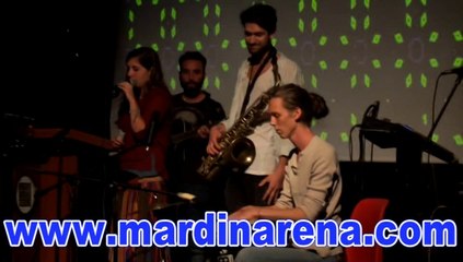 Mardin’de ‘Müzik Günleri’ Finali Yapıldı