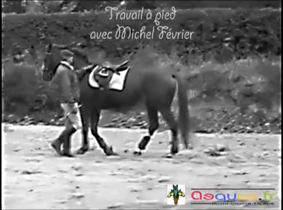 Travail au mur Michel Février