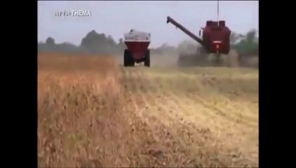 Itinérance et pauvreté - 48 - Vers un crash alimentaire...suite