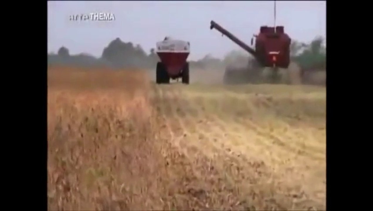 Itinérance et pauvreté - 48 - Vers un crash alimentaire...suite