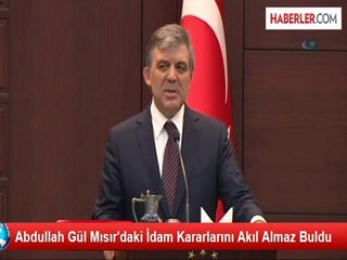 Mısır'da Darbe Karşıtlarına Verilen İdam Cezaları