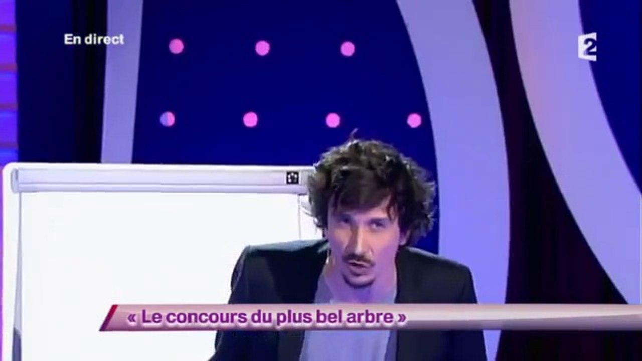 Arnaud Tsamere - Le concours du plus bel arbre