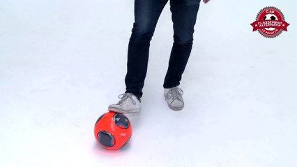 Le RéCap #13 : Berbatov, Cabaye, le Losc et Mourinho !