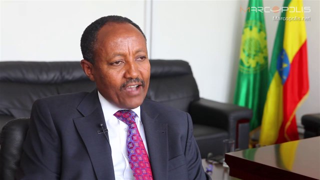 Investing in Ethiopia: Incentives for international investors in Ethiopia