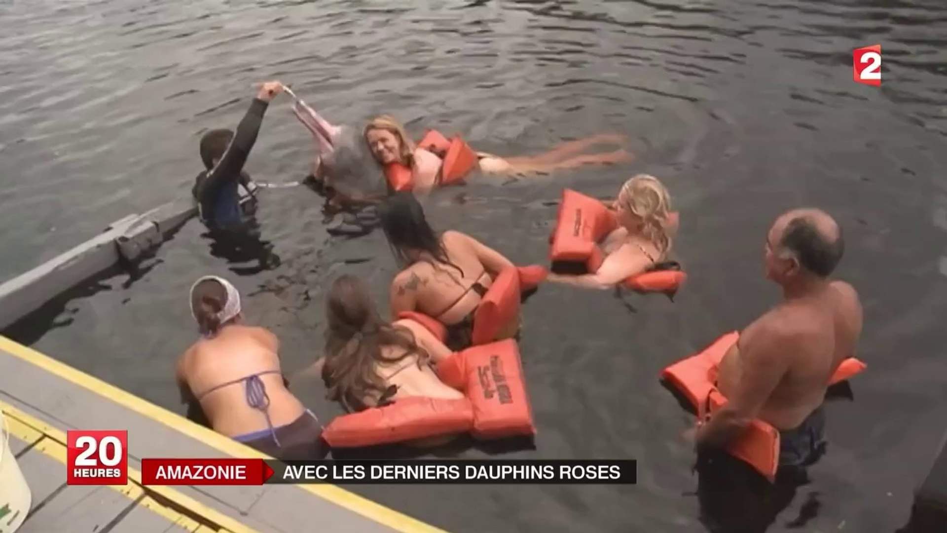 Nager Avec Les Dauphins Roses D Eau Douce D Amazonie Une Espece Menacee Video Dailymotion