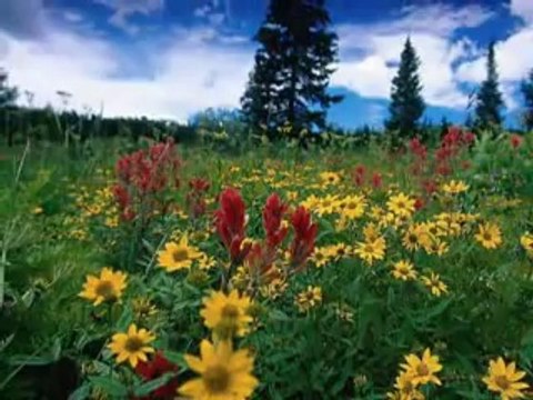 AŞKA AŞIĞIZ-YURDAGÜL ÖZAY