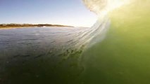 Awesome Surfing Safari - animals, sports and Gopro!