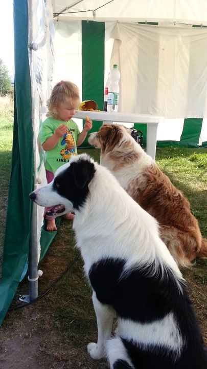 Heimliche Fütterung