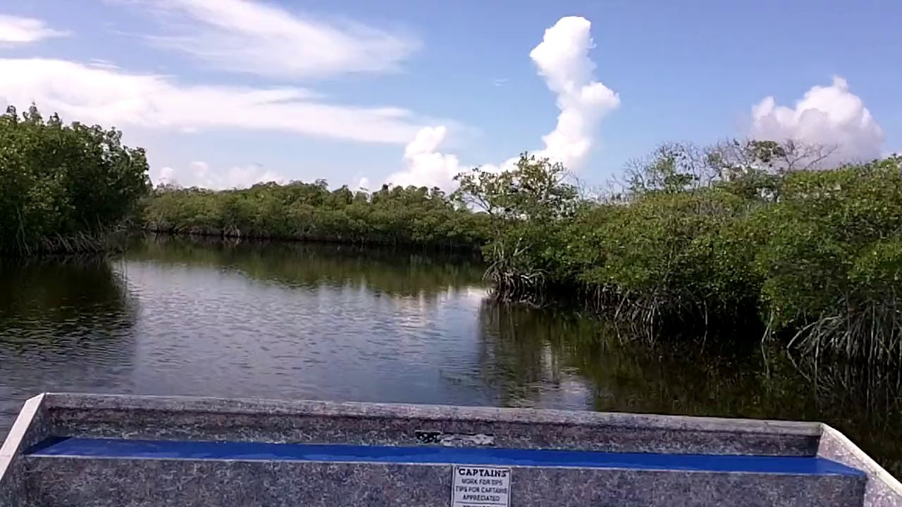 Everglade Slide
