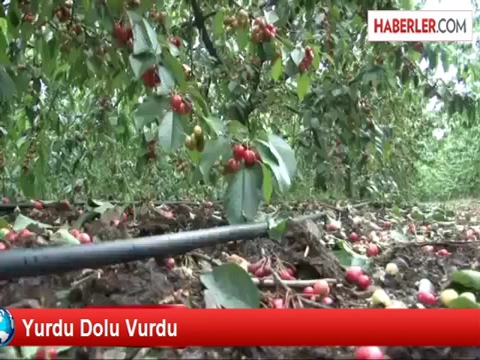 Dolu Kirazı Vurdu