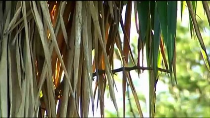 Espai Terra. Dilluns 28 abril