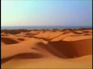 Enya - on your shore