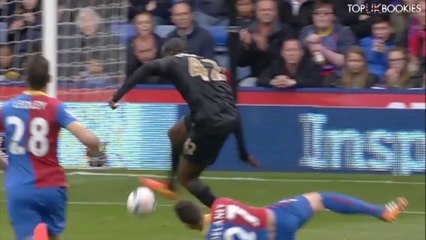 Yaya Toure Goal vs Crystal Palace - 270414