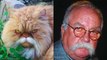 Cats Who Look Like Famous People _ Funny Cats