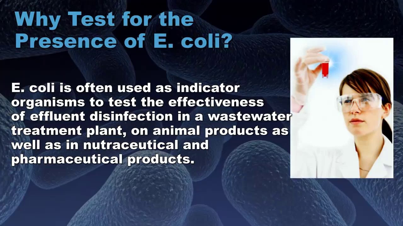 Microbiological Testing for E. coli | MyBioLumix.com