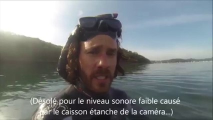 Un dauphin prisonnier d'une rivière